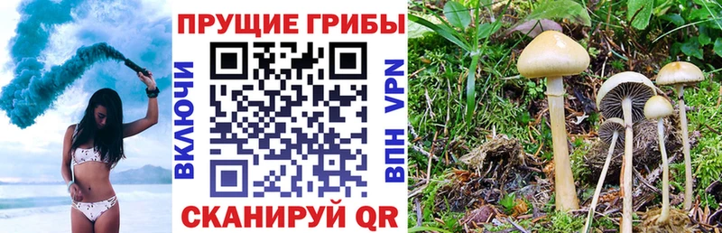 Псилоцибиновые грибы Cubensis  кракен ONION  Магнитогорск 